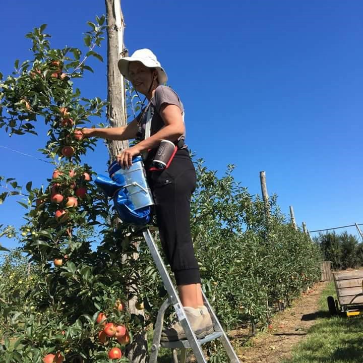 Récolte de fruits et de légumes de saison à Montmorillon: Ferme du Léché