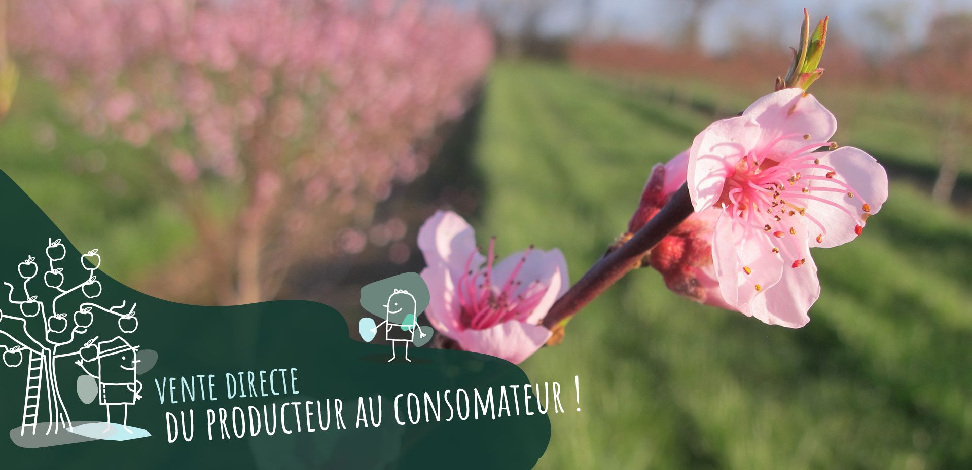 Produits agricole bio à Montmorillon : ferme du léché