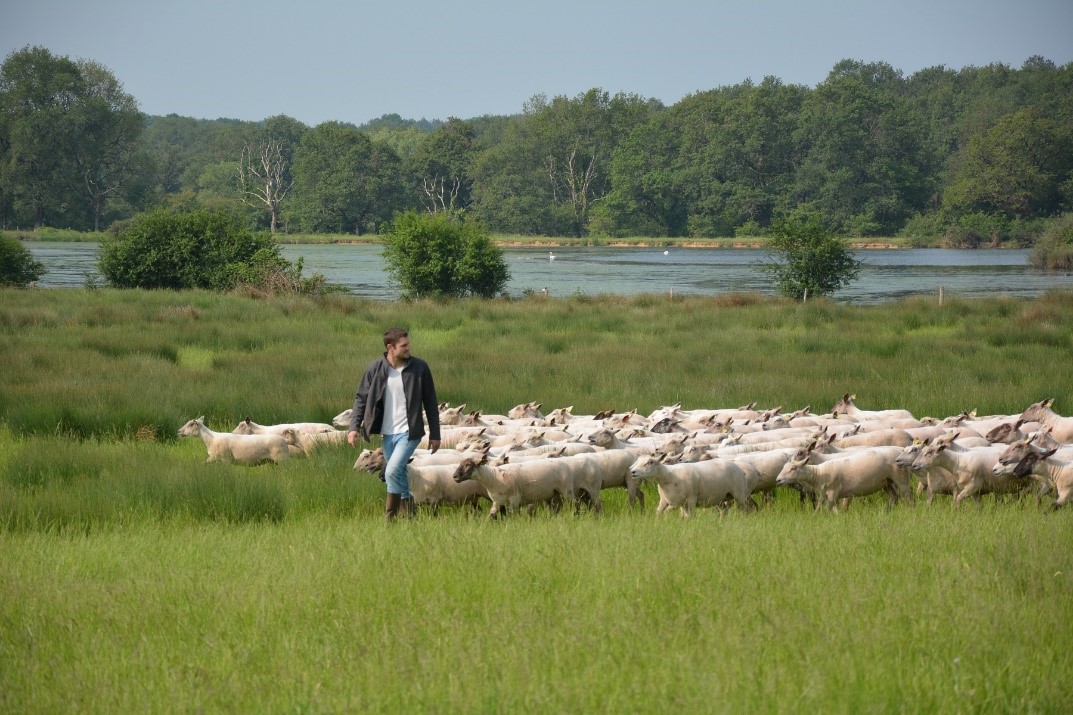 Producteur agricole bio: ferme du léché